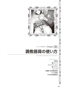 ゼロから始めるSMマニュアル かわいい奴隷飼育術, 日本語