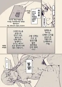 Dosukebe Elf no Ishukan Nikki 9 | 호색한 엘프의 이종간일기 9, 한국어