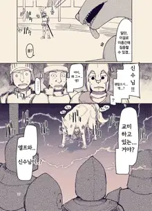 Dosukebe Elf no Ishukan Nikki 9 | 호색한 엘프의 이종간일기 9, 한국어