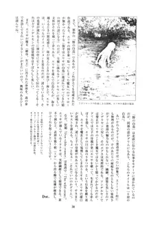 倒錯童話集 6.0 野の白鳥, 日本語