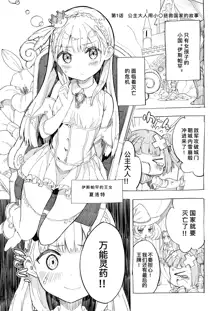 Hime-sama Sore wa Seisui desu ka? Soushuuhen - Princess, Is it holy water? | 公主殿下那是圣水吗？ 总集编, 中文