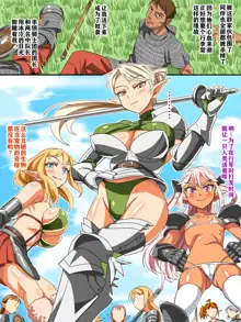 Elf Kishidan Sokuochi Harem, 中文