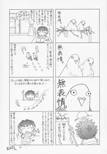 ミーアさんですってね!, 日本語