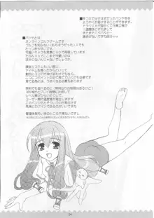 ないしょッ!, 日本語