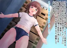 魔法少女ミナト‐男の娘のメス堕ち妊娠, 日本語