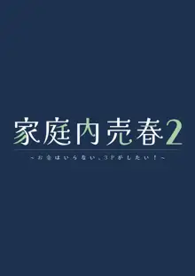 家庭内売春2 NICOLAI, 中文