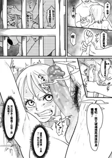 Nami Manga + bonus, 中文