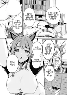 Kemomimi no Senjutsushi ~Kinbaku no Oisha-san~ | 동물귀 점술사  ~동여매는 의사선생님~, 한국어