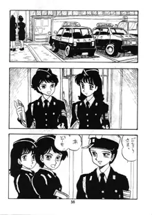 婦人警官, 日本語