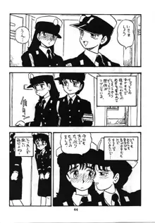 婦人警官, 日本語