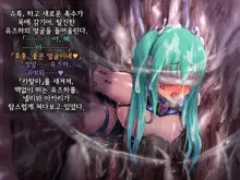 Kisou Seiki Asteria 2 Gyakushin no Gyaida En 휘장성희 아스텔리아2, 한국어