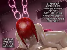 Kisou Seiki Asteria 2 Gyakushin no Gyaida En 휘장성희 아스텔리아2, 한국어