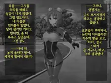 Kisou Seiki Asteria 2 Gyakushin no Gyaida En 휘장성희 아스텔리아2, 한국어