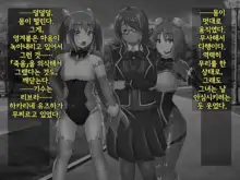 Kisou Seiki Asteria 2 Gyakushin no Gyaida En 휘장성희 아스텔리아2, 한국어