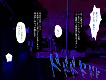 嗜虐兆候～魔法少女ミストウィーバーの眩惑～, 日本語