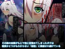 嗜虐兆候～魔法少女ミストウィーバーの眩惑～, 日本語