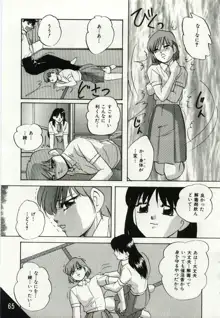 檻の中の少女たち, 日本語