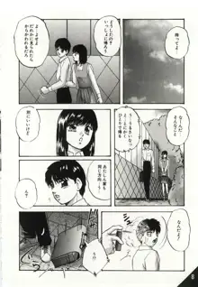 檻の中の少女たち, 日本語