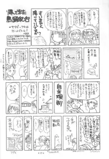 制服王 設定資料集, 日本語