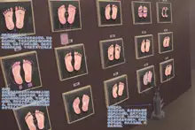 Wall Of Female Genitalia_foot Ver, 中文