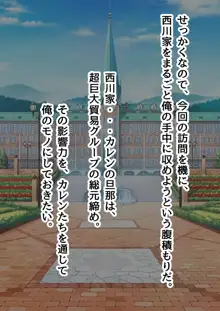 中出ししたメスを完全支配する能力を得た俺は色んなメスに強制中出ししまくることにした2, 日本語