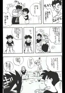 Dragon Ball Camp - Jap, 日本語