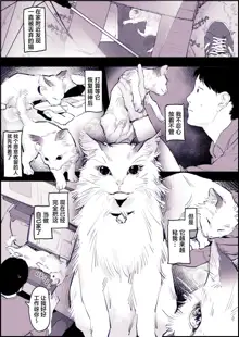 Neko [Chinese] [葱鱼个人汉化]] (decensored), 中文