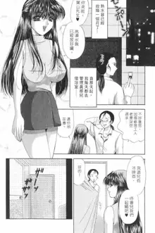 Totsugeki Tonari no Onee-san | 鄰家俏寡婦, 中文