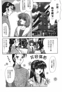 Totsugeki Tonari no Onee-san | 鄰家俏寡婦, 中文