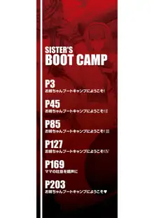 Onee-chan Boot Camp ni Youkoso!, 中文