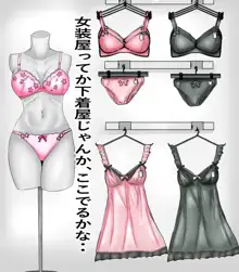 女体化ОL, 日本語