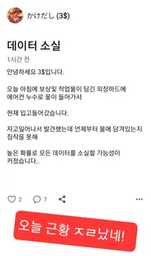 통깡이 홍류 손딸+소신발언, 한국어