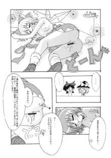 東方幻想教室, 日本語