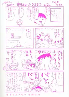 恋するガクセイ, 日本語