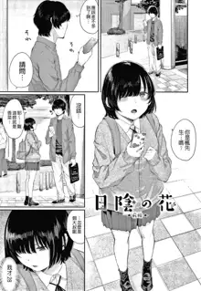 Hikage no Hana (uncensored), 中文