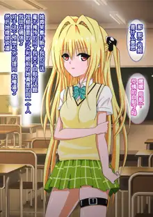 Boku ga Suki na Anoko no Himitsu 1+2, 中文