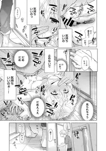 ノラネコ少女との暮らしかた 第1-40話, 日本語