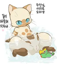 Felyne Manga + extras, 한국어