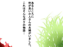 触手姦物語～犯されたボテ腹さん～, 日本語