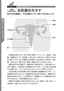 やらなくてもまんがで解る性交と妊娠 赤ちゃんのつくり方, 日本語