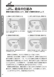 やらなくてもまんがで解る性交と妊娠 赤ちゃんのつくり方, 日本語