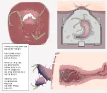 Mushi Research Report No.1, 한국어