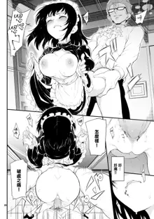 Maid Kyouiku. 1-4 (decensored), 中文