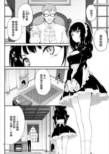 Maid Kyouiku. 1-4 (decensored), 中文