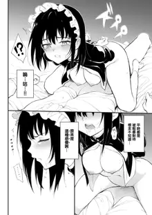 Maid Kyouiku. 1-4 (decensored), 中文