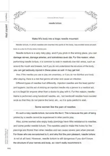 SM play manual, English