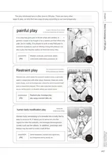 SM play manual, English