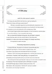 SM play manual, English