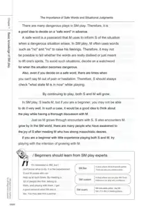 SM play manual, English