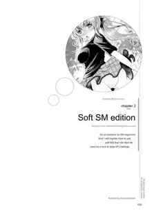 SM play manual, English